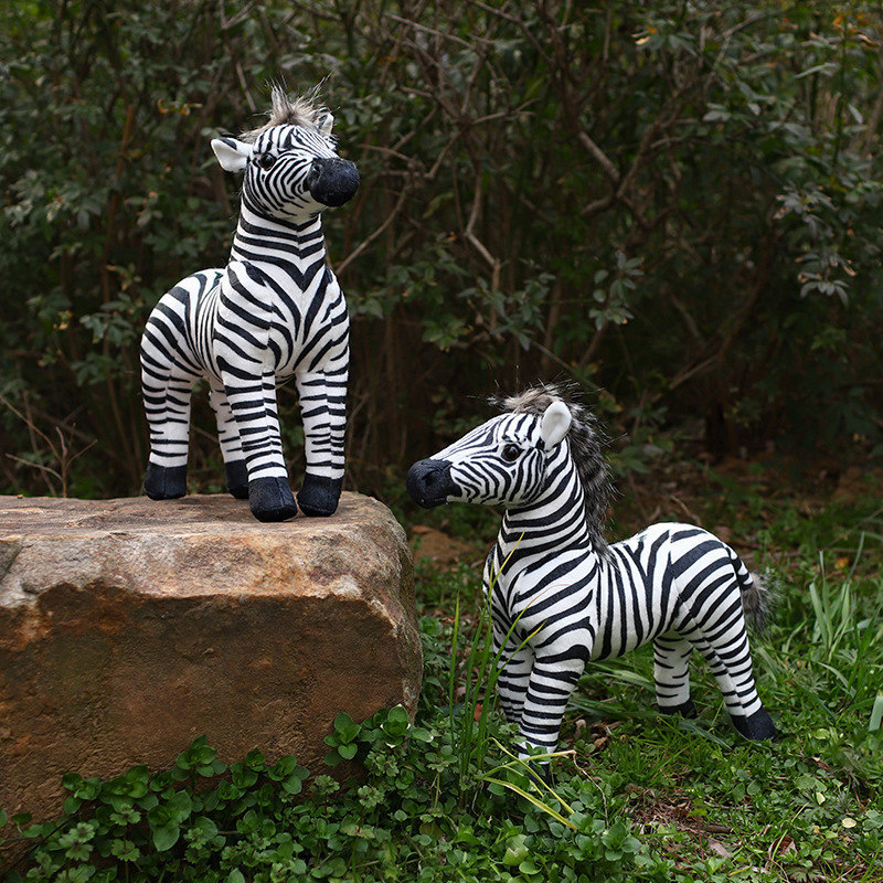Beyaz Pelikan Yaratıcı Zebra H - Photography Zebra incelemesi ve fiyatı