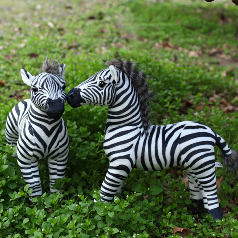 Beyaz Pelikan Yaratıcı Zebra H - Photography Zebra incelemesi ve fiyatı